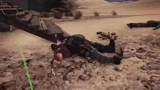 Borderlands 2. The Slagga