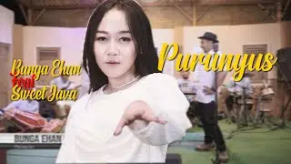 Bunga Ehan Feat Sweet Java - Purunyus ( Live Sesion )