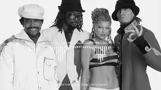 The Black Eyed Peas - My Humps (Collester Remix)