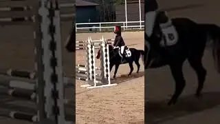 70 см чисто без места #horse #лошадки #equestrian #jumping #соревнования