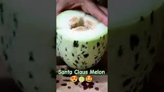 Cutting this Santa Claus Melon for Salad 🤩🍈😍 #shorts #shortsfruits #shortsasmr #cuttingasmr