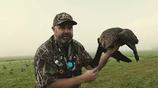 Goose Hunting Upper State New York