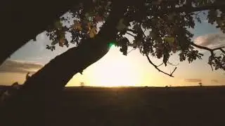 Autumn Work Study Vibes 🍂 Relax your mind and body - Downtempo Jazz - Study/Work/Relax/Aesthetic