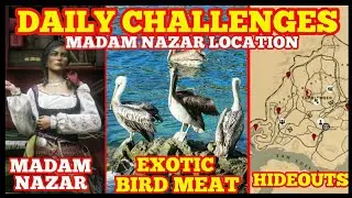 Exotic Bird Meat Hideouts Easy Animal Spawns and Madam Nazar Location Red Dead Online