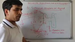 surgical anatomy of thyroid