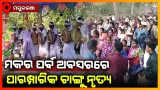 ମକର ପର୍ବ ଅବସରରେ ପାରମ୍ପରିକ ଚାଙ୍ଗୁ ନୃତ୍ୟ || MAYURBHANJ NEWS