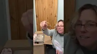 Bee hive mystery box! 