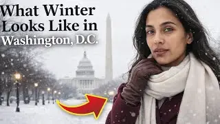 What Winter Looks Like in Washington, D.C.