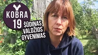KOBRA 19 &ndash; Rita Miliūtė || &Scaron;ūdinas valdžios gyvenimas || Laisvės TV vlogai
