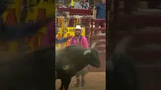 Inside the Wildest Rodeo in Florida 🐂🔥 | Ocala Shrine Rodeo 2025