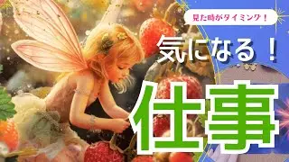 【今の状況、強み、転職のヒント…。】これからどんな3か月になりそうかを占っています！/気になる仕事について📚