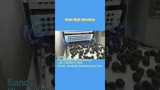 Sesame Ball Forming Machine Nuts Ball Machine#sesame#sesameball#nuts#nutsball#machine #equipment