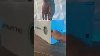 PREMIUM PACKAGE FOR OUTSTANDING COOLING - VALKYRIE DRAGONFANG 🔊 #asmr