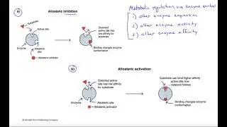 Allosteric modulation of proteins
