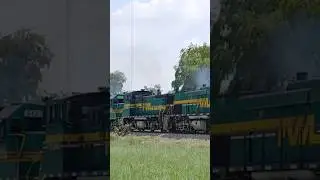 TRIO FTVM FERROVALLE ENTRANDO A APM #train #ferrovalle #railtrack #railway