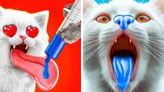 TRYING CRAZY HACKS FOR PETS! 🎤🐾 Will My Cat Love It or HATE It?! | Meow-some! Reacts