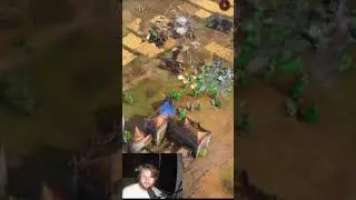 Ottoman Healing vs Chinese Nest of Bees