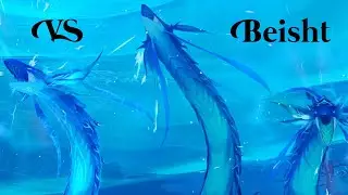 「Genshin Impact」VS Beisht