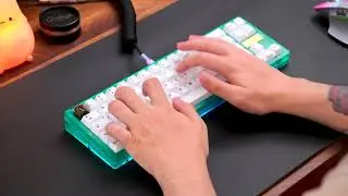 Typing Tests: 4 keyboards (Salmons, Huskies, Penguins, Hippo)