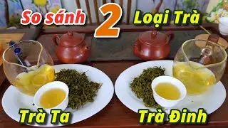 So Sánh 2 Loại Trà Thái Nguyên - Pha Trà Đinh và Trà Ta Xem Hương Vị Khác Nhau Thế Nào