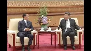 Xi Jinping Meets Taiwan Delegation Led by Lien Chan