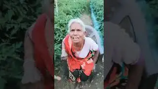 Unity ek Dam Sahi Bol na Use  | #shortsvideo #comedy #masti #masti