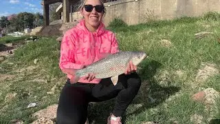 PESCA EN COSTANERA CORRIENTES 🎣🧉 #fishing #viral #corrientes #pescadores 