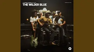 Dixie Darlin' (OurVinyl Sessions)