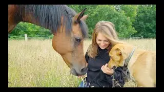 Das Buddy-Prinzip Tierkommunikation Janika Sedat (Imagefilm)