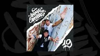 Animal Cannibals - Gratul&aacute;lunk!
