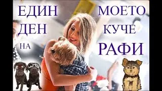 Един Ден с Моeто Kуче Рафи/Ася Енева/One Day with My Dog/Asya Eneva