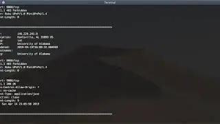 Shodan IPEnumeration CLI Tool