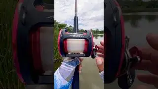 Testing the Offshore Seafire#fishing#fish#tips#shortsvideo#shortvideo#shorts#short#shortsfeed#viral
