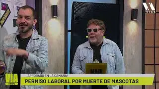 ⚡EN VIVO⚡ V&iacute;a Directa 4 de noviembre 2025