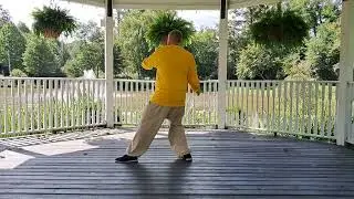 Tai Chi - Matthew Rand Demonstrates Multidirectional Lan Chiao Wei