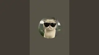 🎬 Adorable AI Moments &ndash; Try Not to Smile! 😄✨ #AIAnimation #CuteMoments #FunnyLive