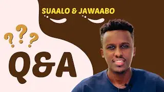 Q&A