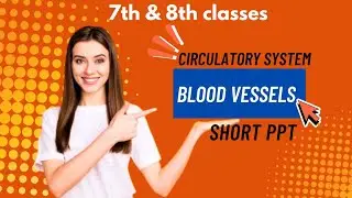 Circulatory system || blood vessels || easy ppt || short points||