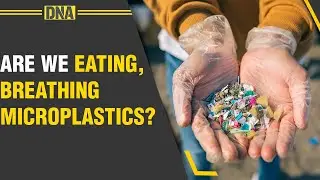 World Environment Day 2023: Human beings are eating and drinking microplastics & how harmful it is?