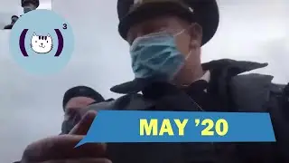 Лучшие кубы мая 2020 / Best coubs of may 2020 / #61