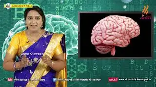 KITE VICTERS Plus One Zoology Class 45 (First Bell-ഫസ്റ്റ് ബെല്‍)