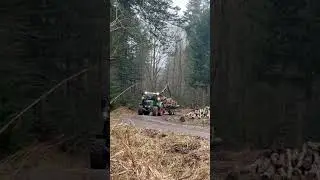 Holztransport mit dem Fendt 311 Vario Gen 4