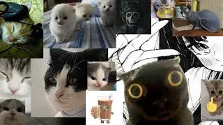 ты кого куколкой назвал, чмозавр??? ୧((#Φ益Φ#))୨