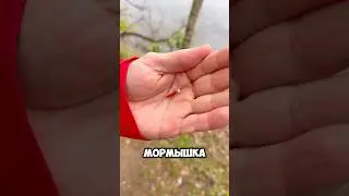 Где и на что ловить на мормышку #рыбалка #спиннинг #мормышинг