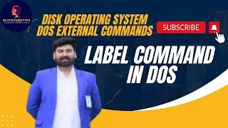 DOS Label Command Step-by-Step Tutorial Hindi/Urdu