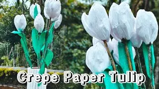 Beautiful Tulip Flower| Crepe paper flower| Home decoration| Handmade 