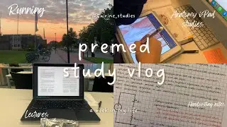 PREMED STUDY VLOG - productive week - anatomy iPad studies aesthetic notes double degree good food