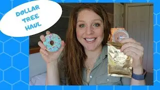 DOLLAR TREE HAUL | YES, ANOTHER ONE!!😉 MAY 27, 2019