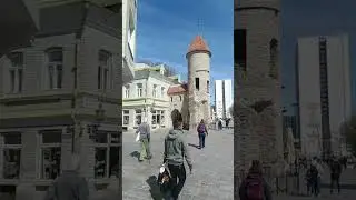 classic city of talnin #shorts #estonia