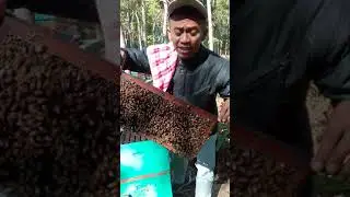 berkah madu dayusa
